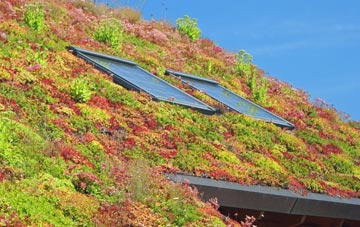 Janetstown living roof systems