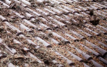 Janetstown roof cleaning companies