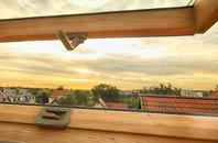 rated Janetstown roof window companies